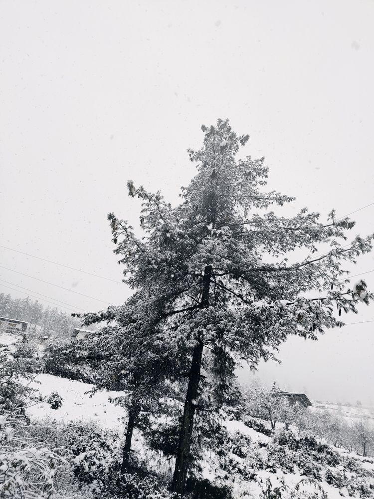 Photograph by Suk Bdr. Maffchan