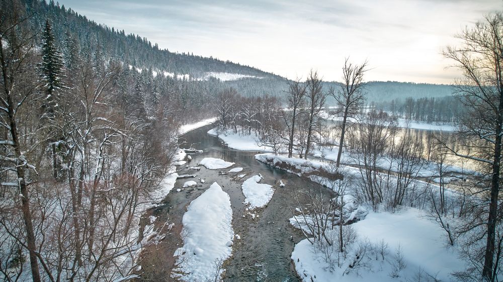 Photograph by artvitto