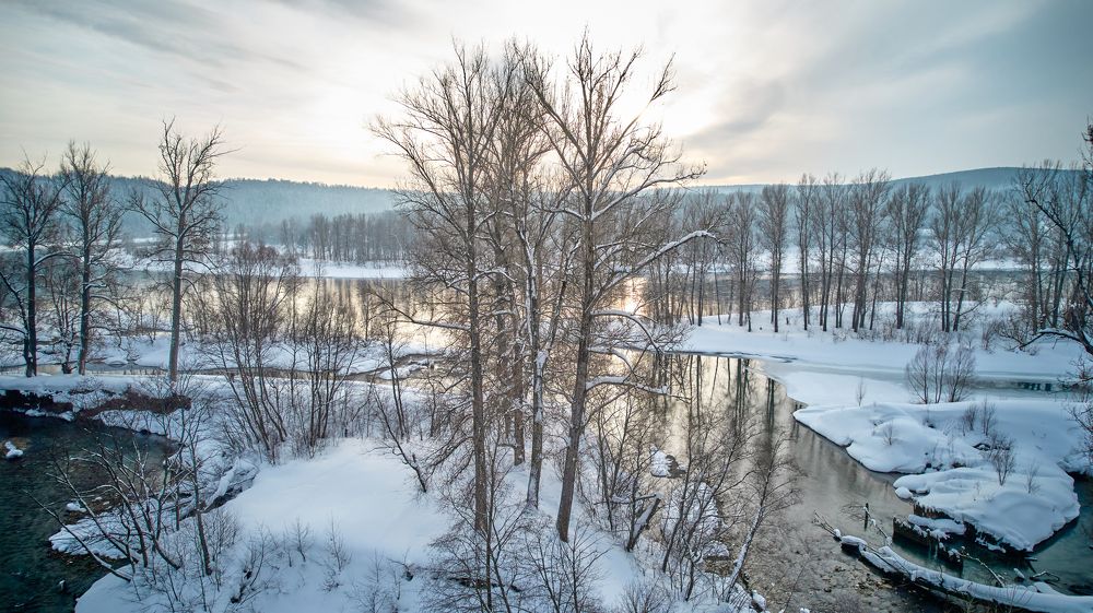 Photograph by artvitto