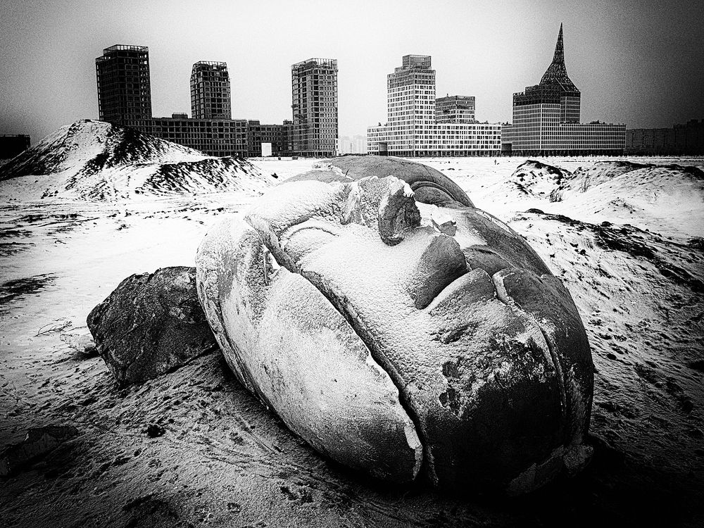 Photograph by Александр Скибицкий