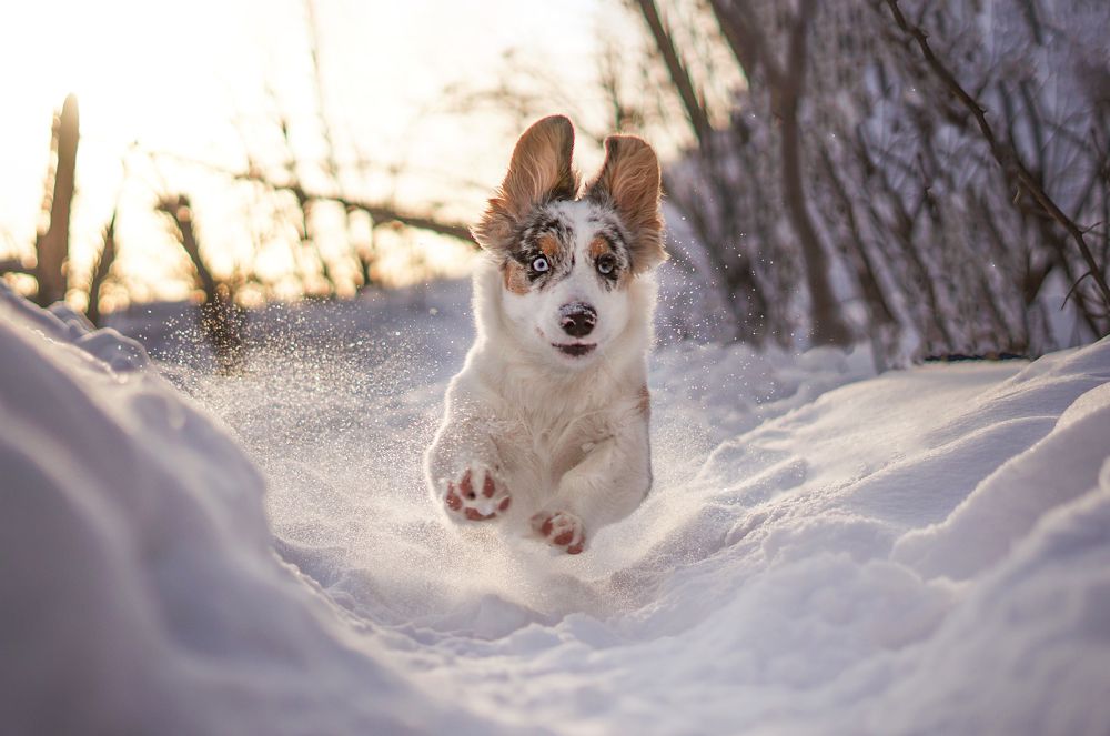 Photograph by софья