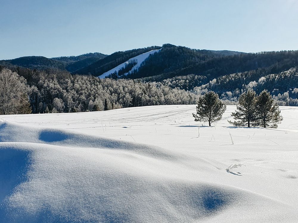 Photograph by Дьяченко Нина