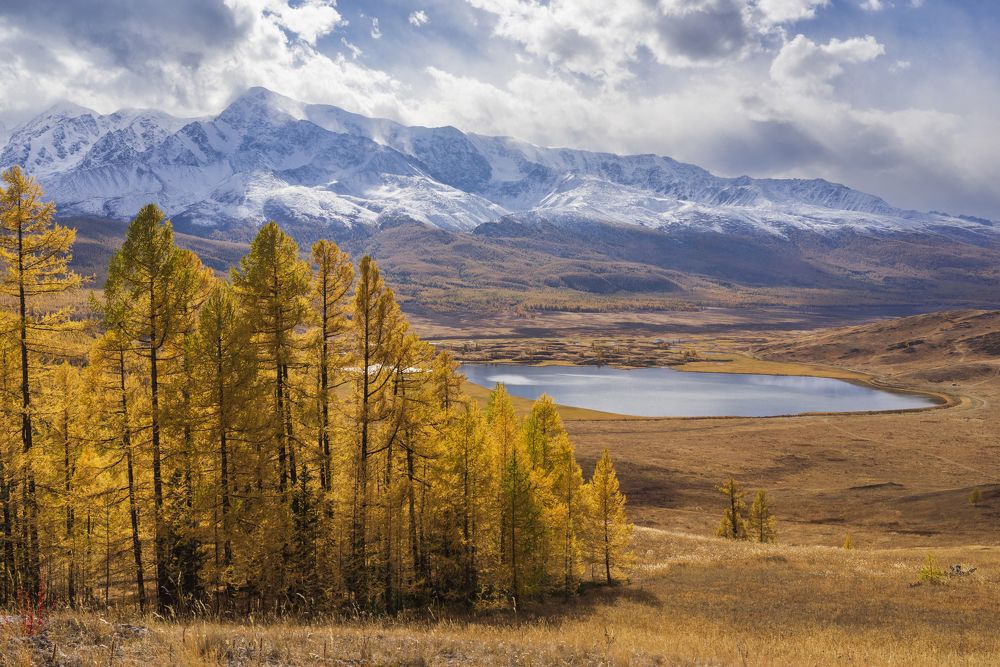 Фотография автора Олег Матроницкий