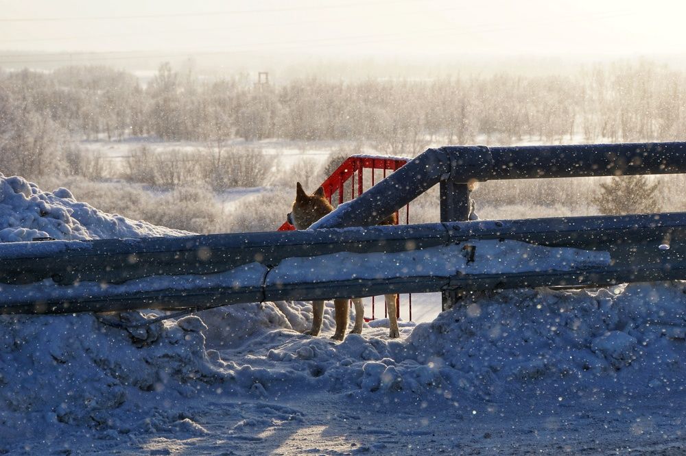 Photograph by Андрей Нурулин