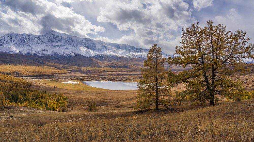 Фотография автора Олег Матроницкий