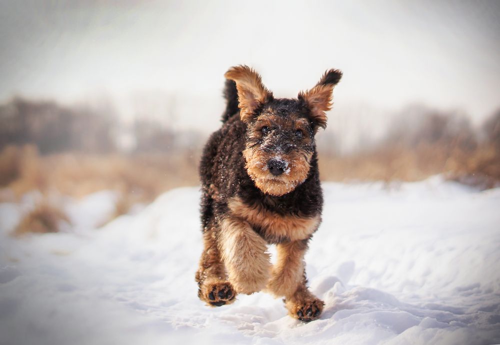 Photograph by софья