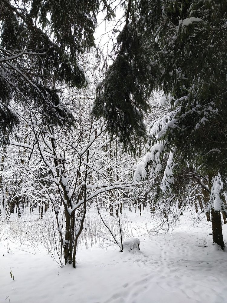 Photograph by Natalya Guseva