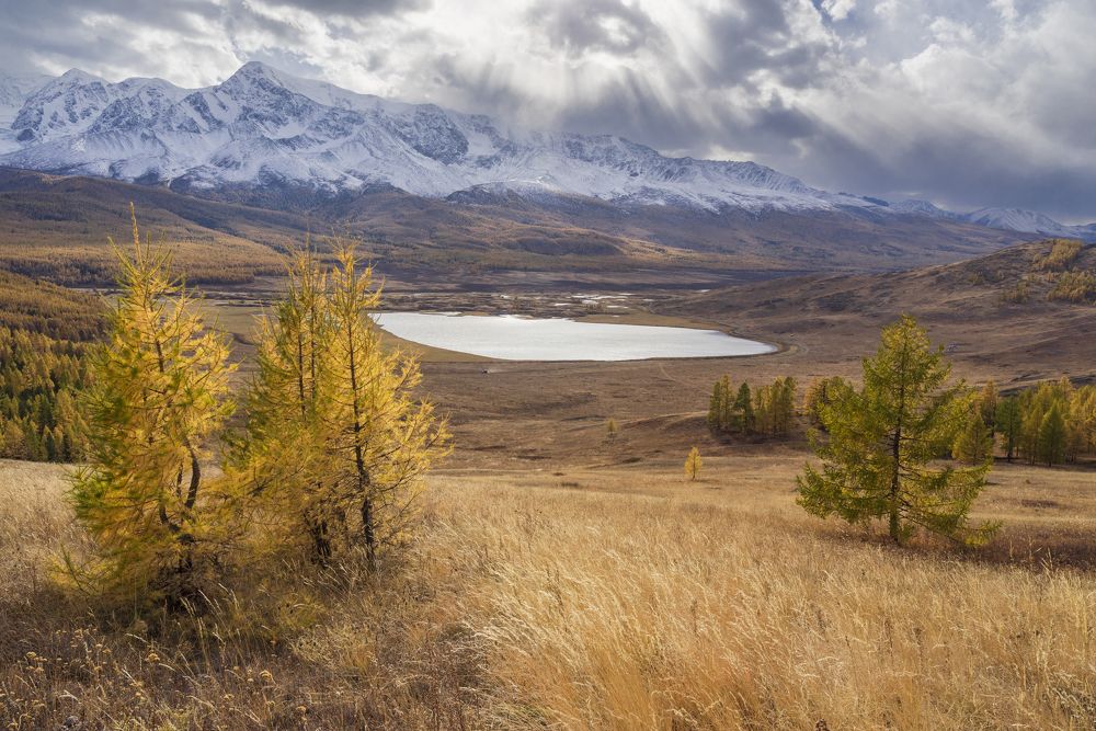 Фотография автора Олег Матроницкий