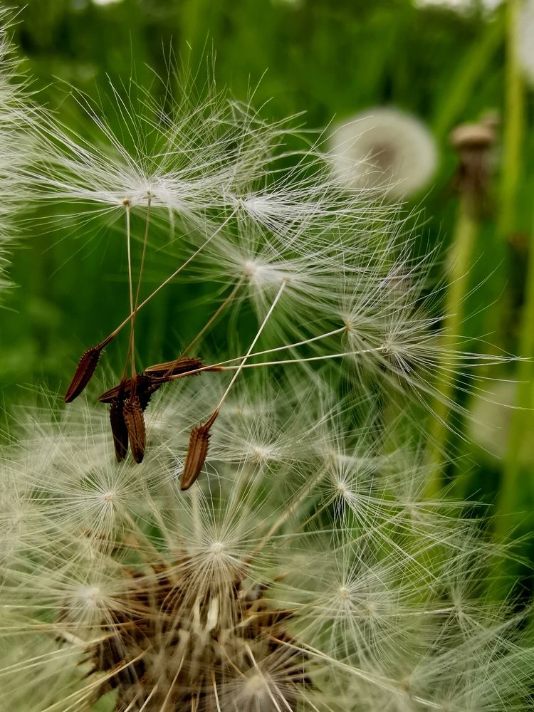 Photograph by Мария