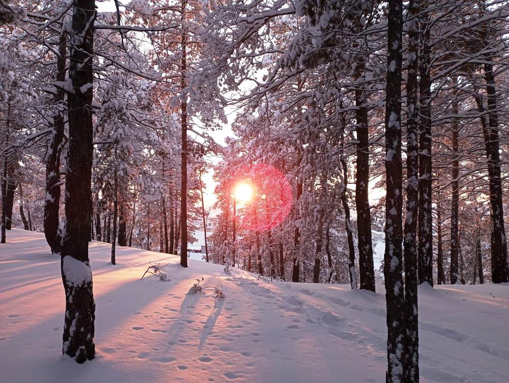 Photograph by Надежда Иванова