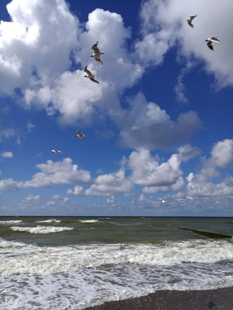 Photograph by Natalya Guseva