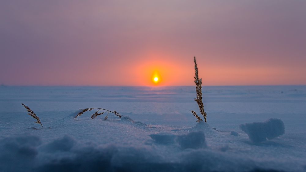 Photograph by Антон Дроздов