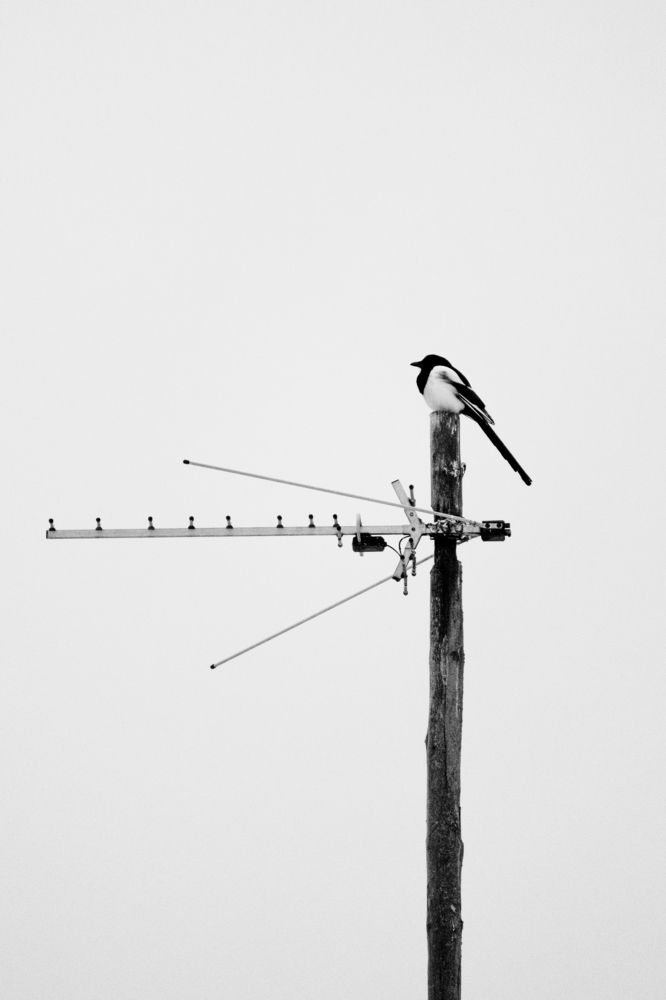 Photograph by Anna Maximova