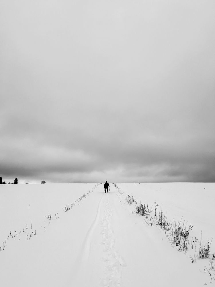 Photograph by Anna Maximova