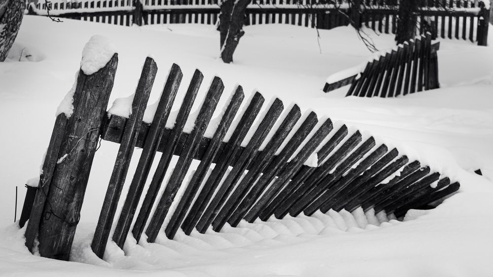 Photograph by Олег Бережных