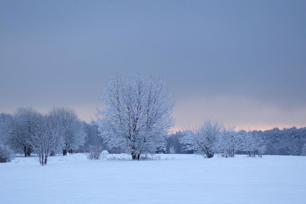 морозный рассвет