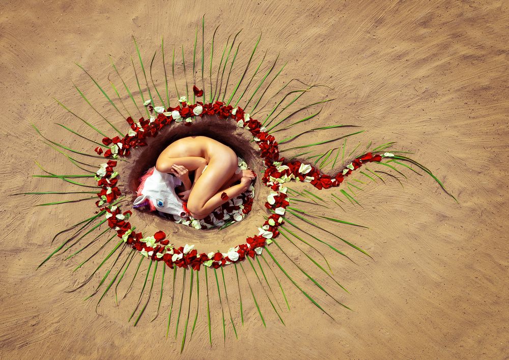 Photograph by Шамаев Валерий