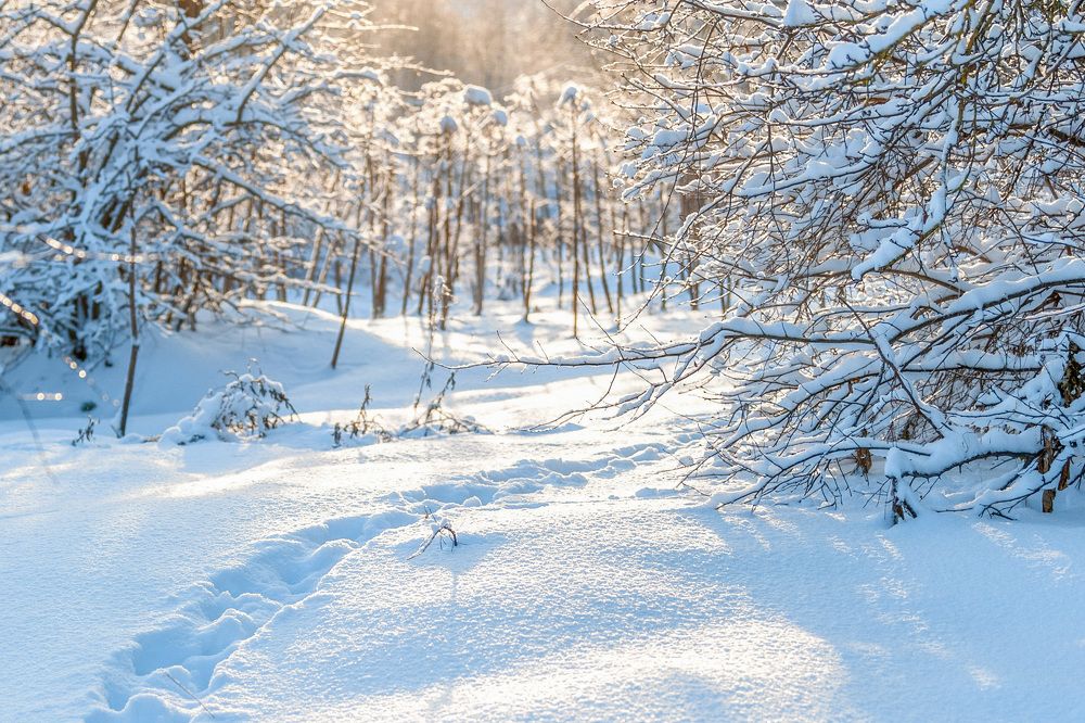 Photograph by Евгений Панов