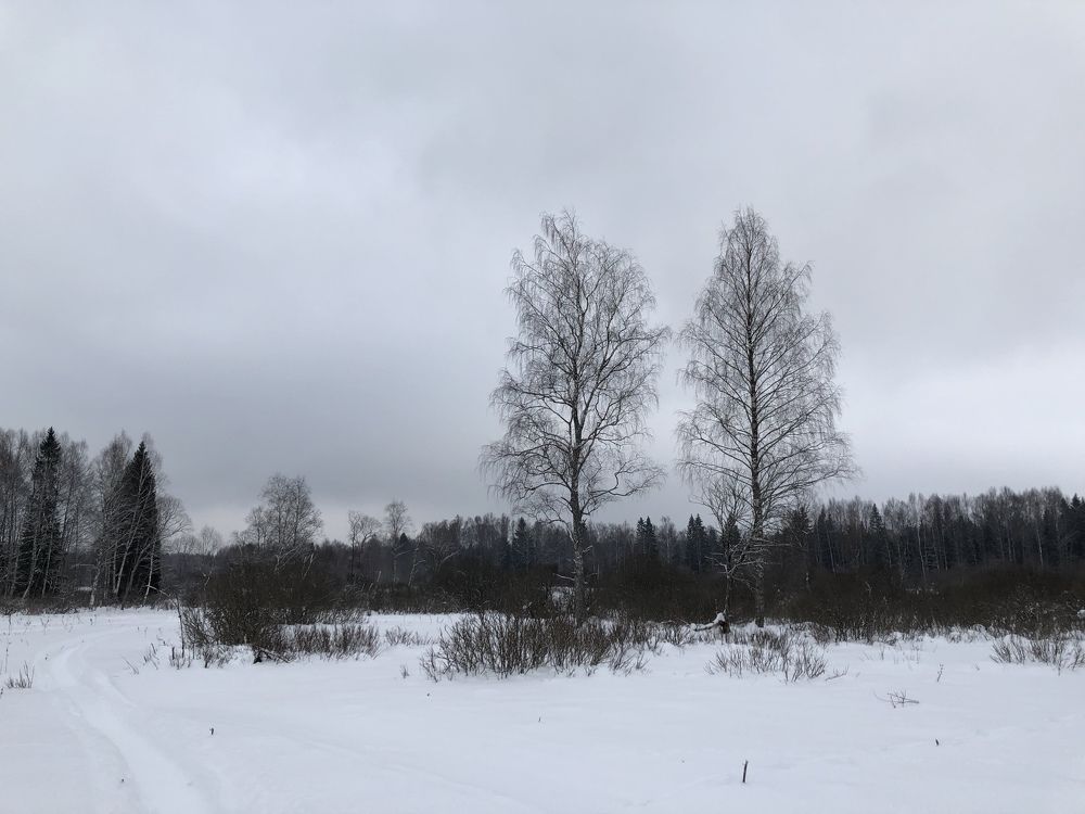 Photograph by Юлия Отставнова