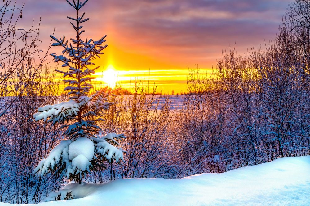 Photograph by Евгений Панов