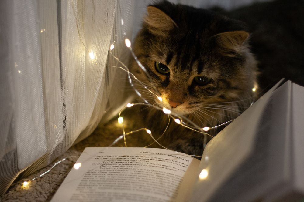 Photograph by Михаил Кувшинов