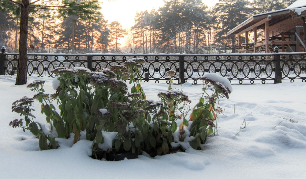 Photograph by Олег Борисов