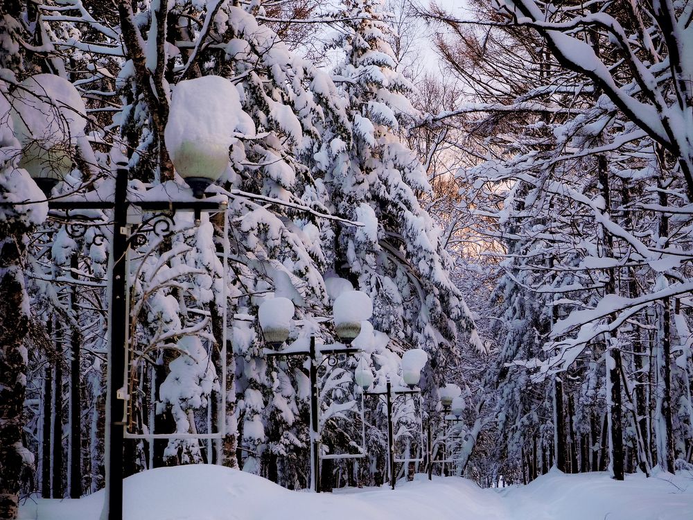 Фотография автора Olena Vorotyntseva