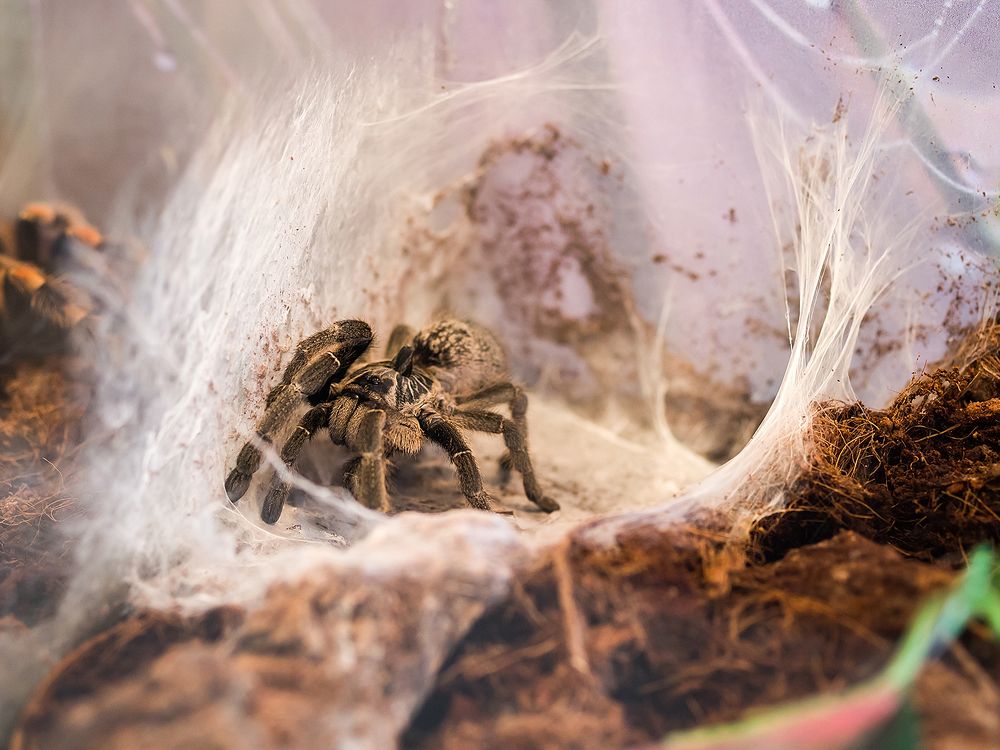 Фотография автора Ирина Белотурова