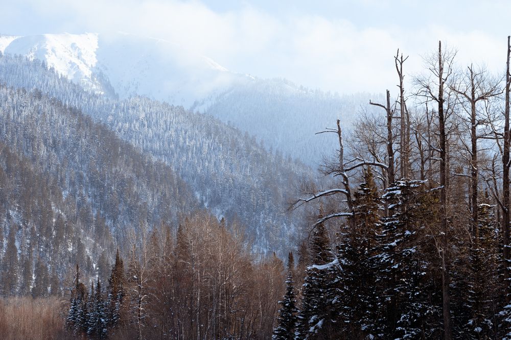 Photograph by Кира Жолудева