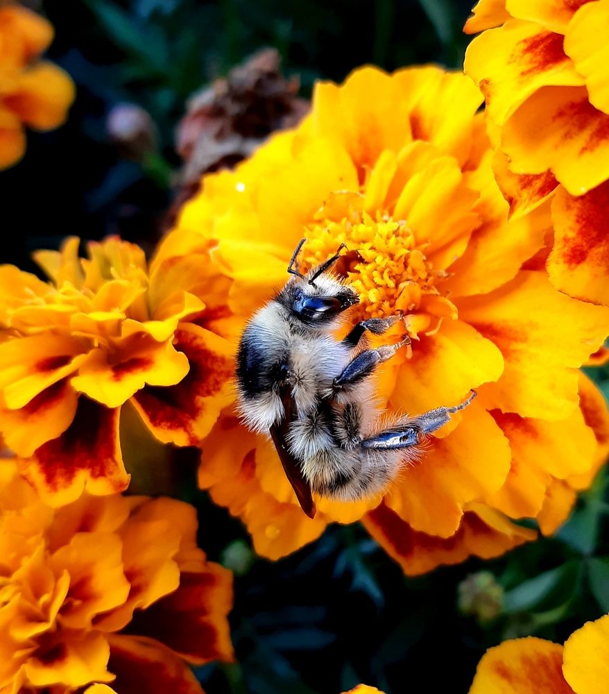 Фотография автора Ирина Лукьянчик