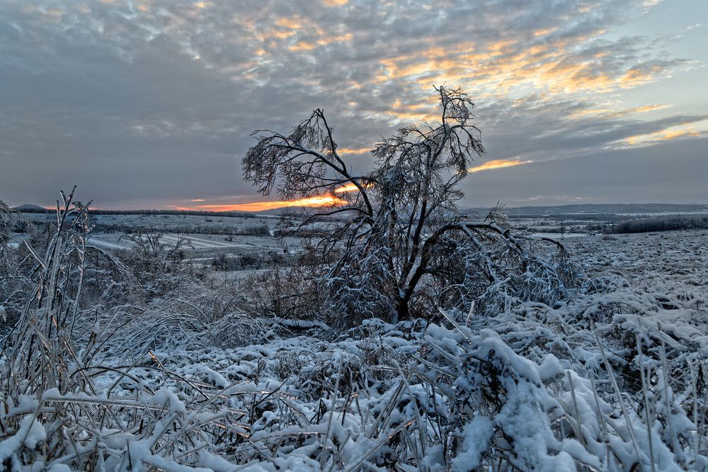 Photograph by Карпович Ольга Сергеевна