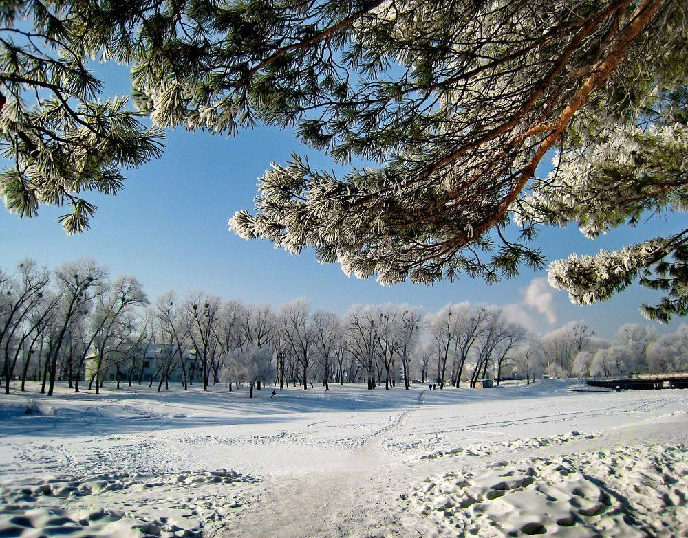 Photograph by Карпович Ольга Сергеевна