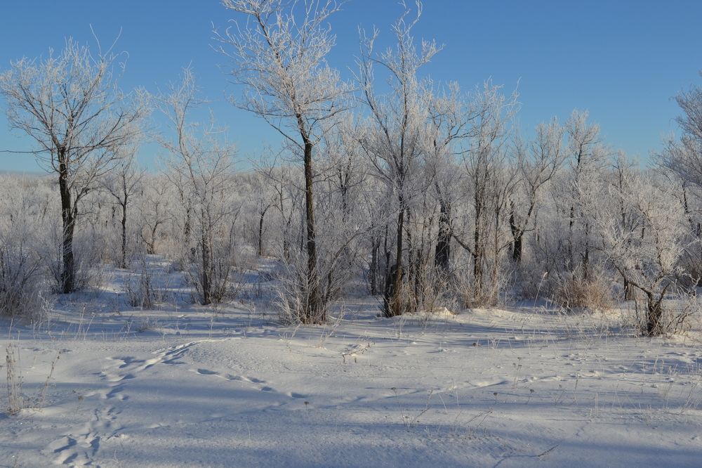 Фотография автора Андрей Хлопонин