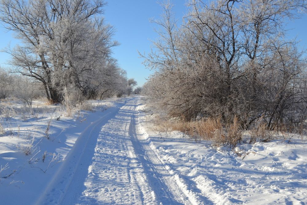 Фотография автора Андрей Хлопонин