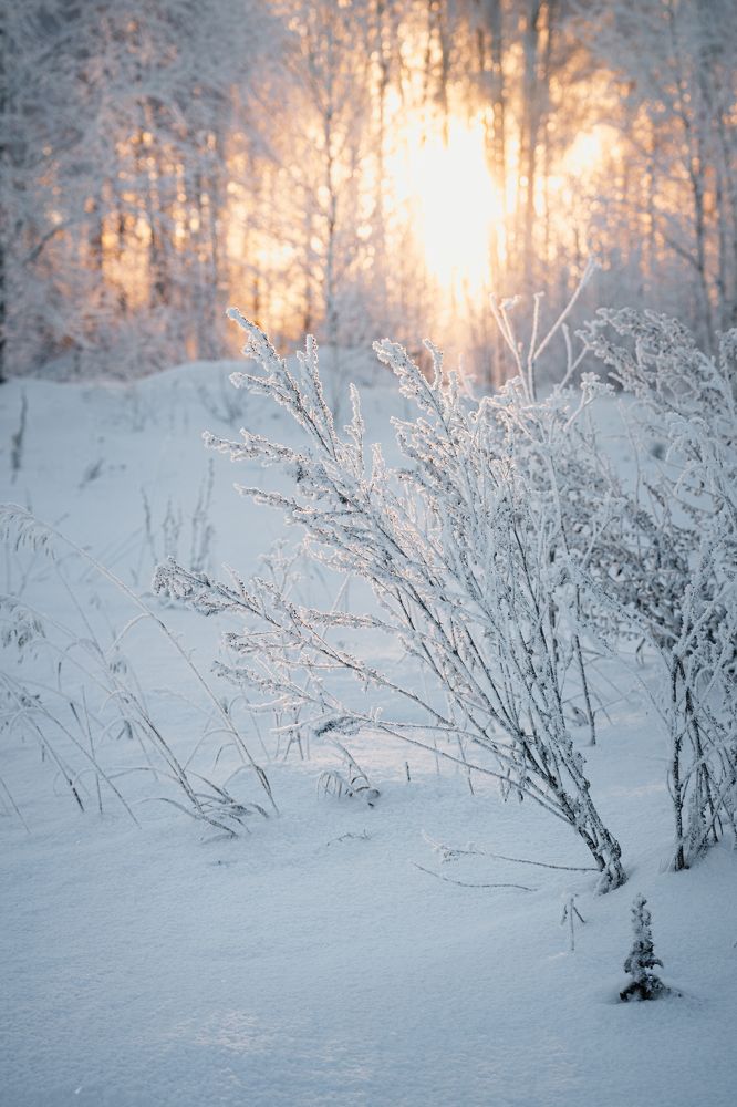 Photograph by Ольга Рачилова