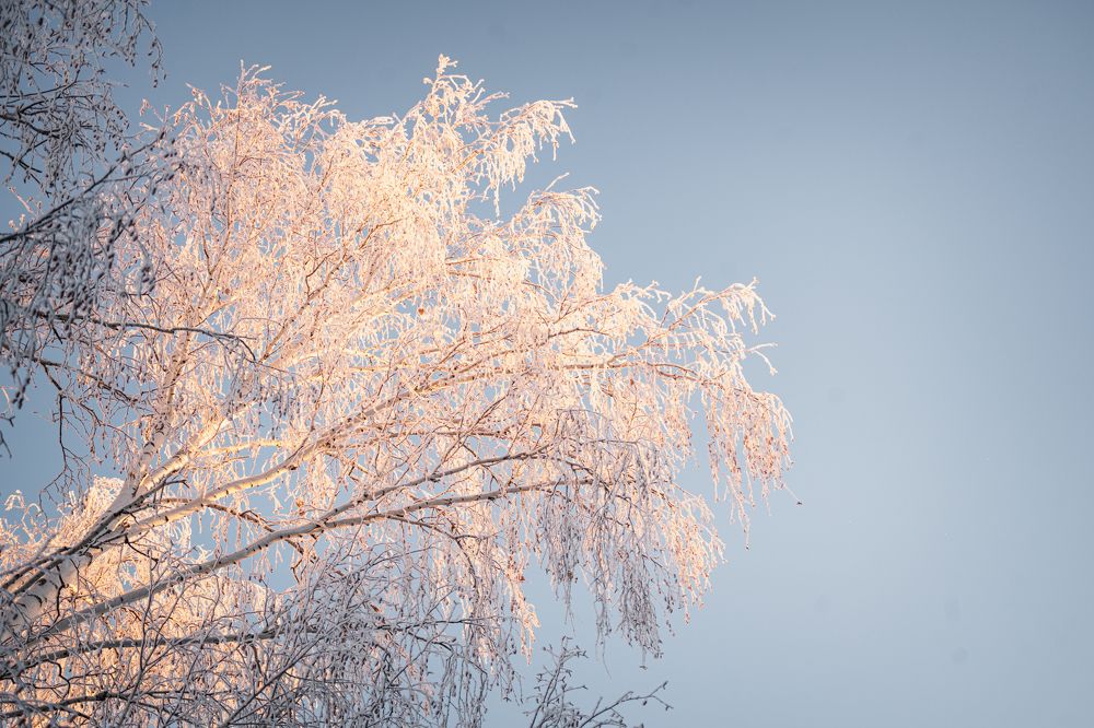 Photograph by Ольга Рачилова