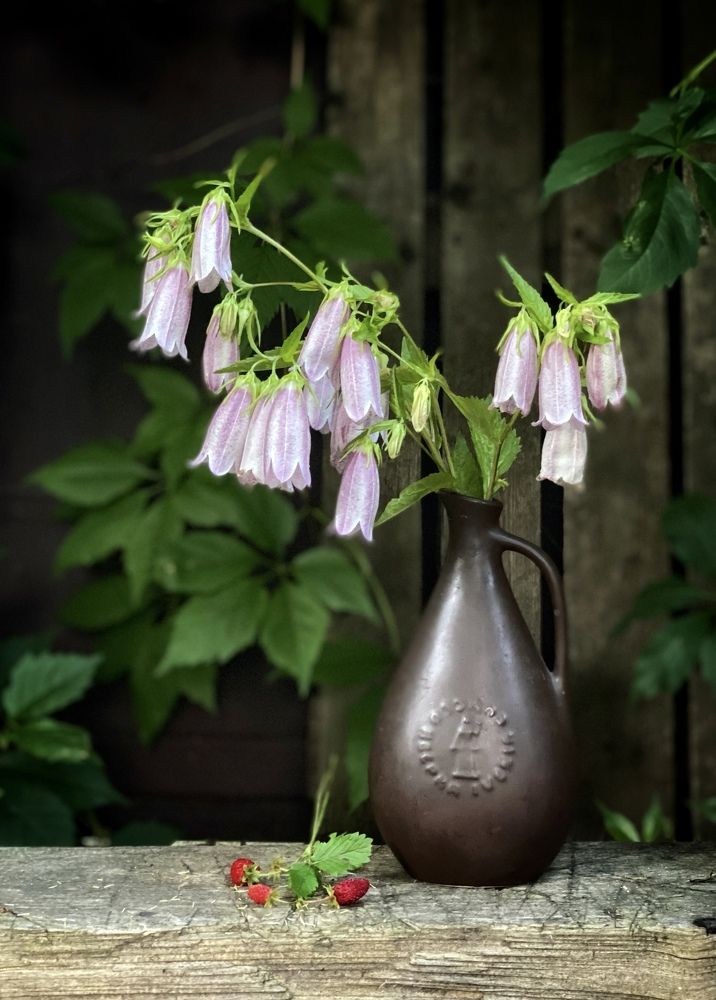 Колокольчики