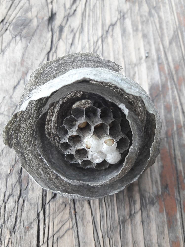 Photograph by Елена Головкова