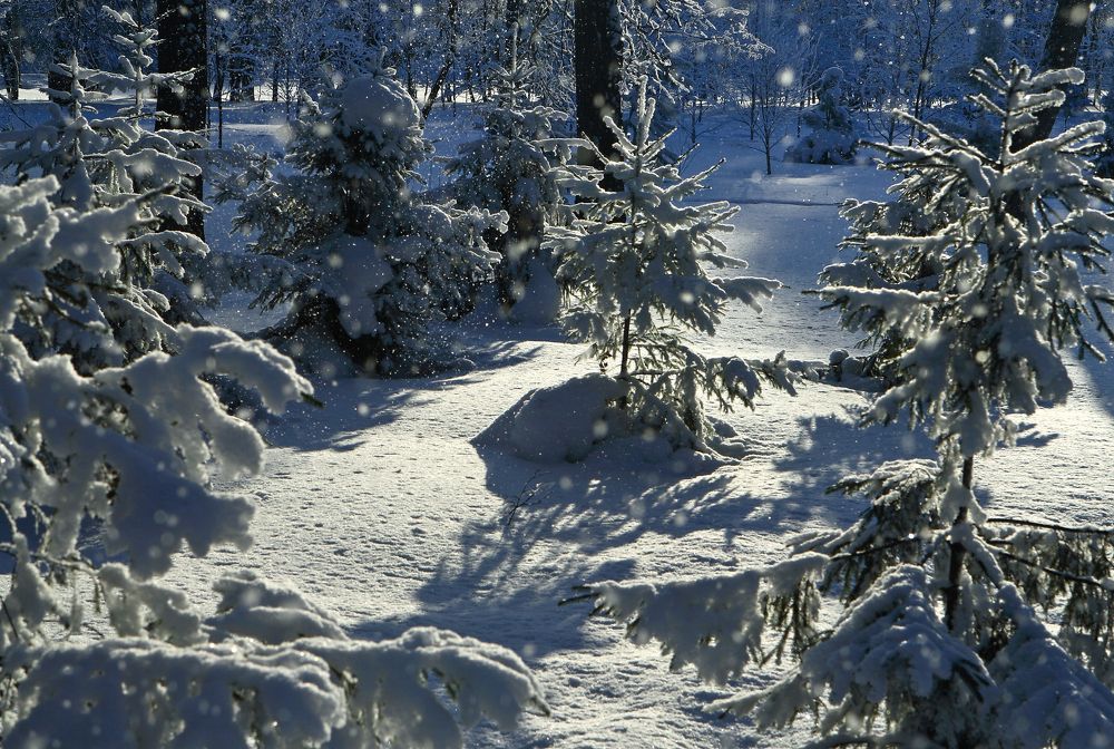 Photograph by Алик Хасанов