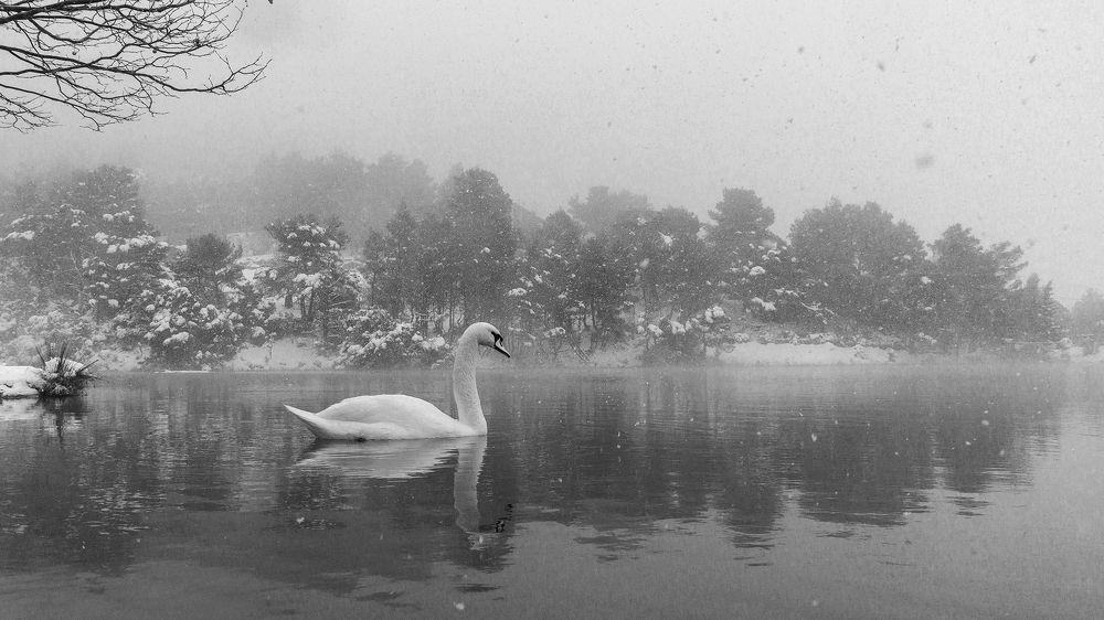 Photograph by THEO LIAN