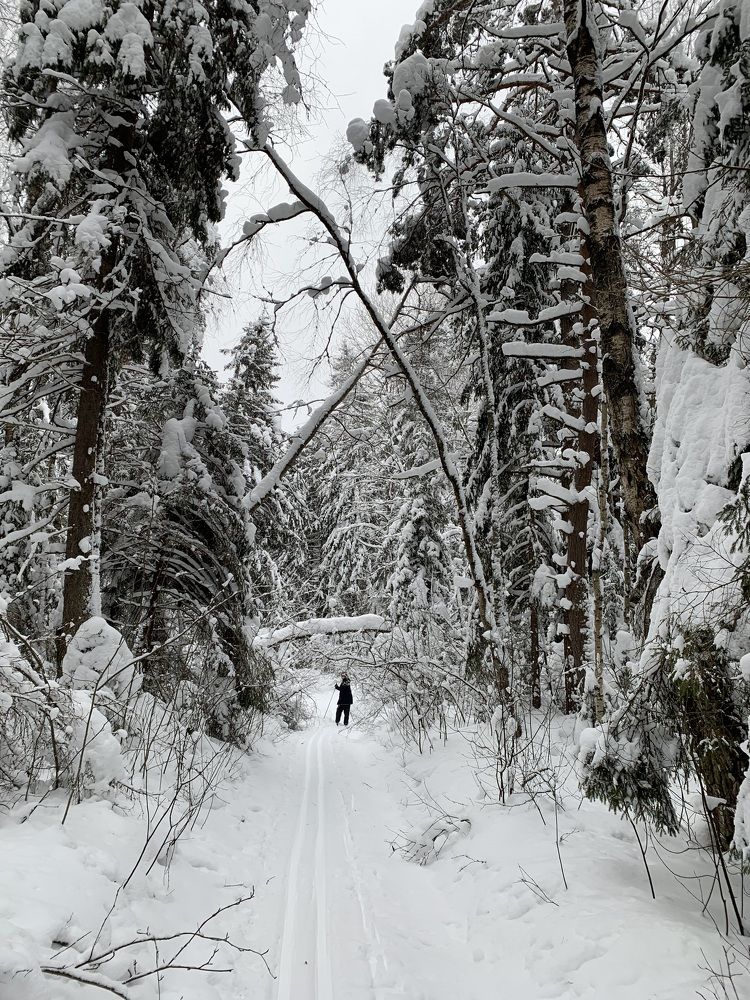 Photograph by Елена Киселева