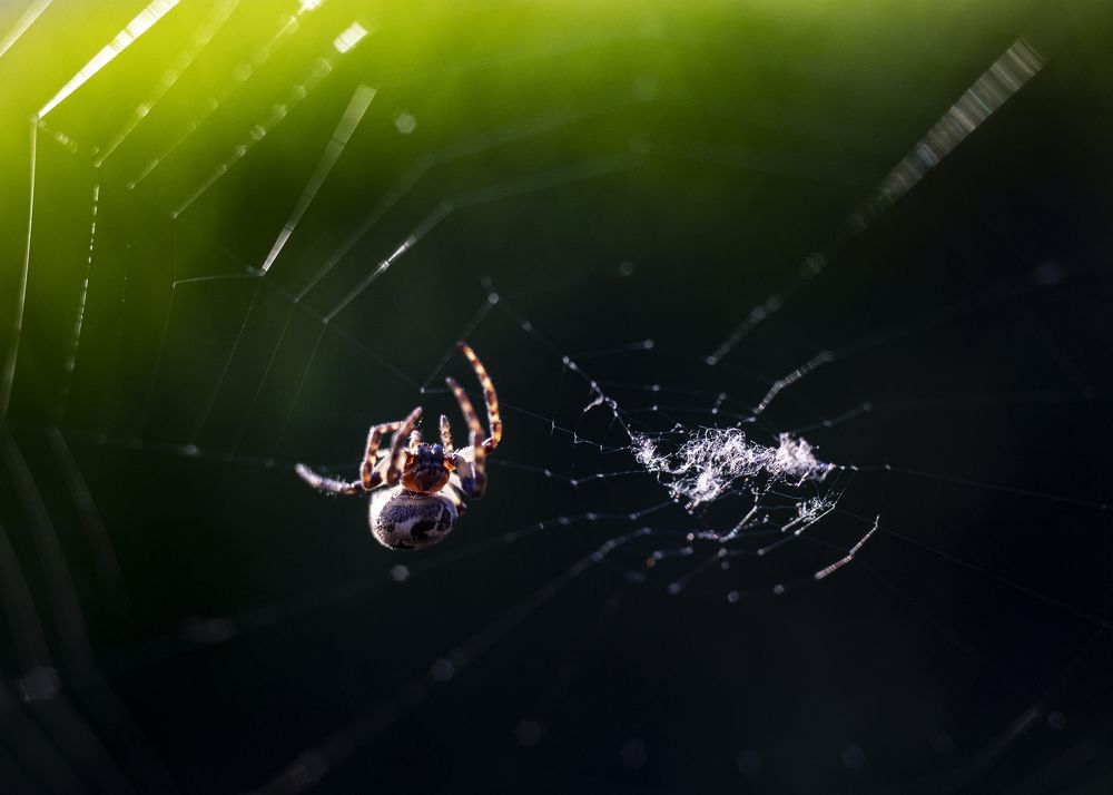 Photograph by Андрей Михайлин