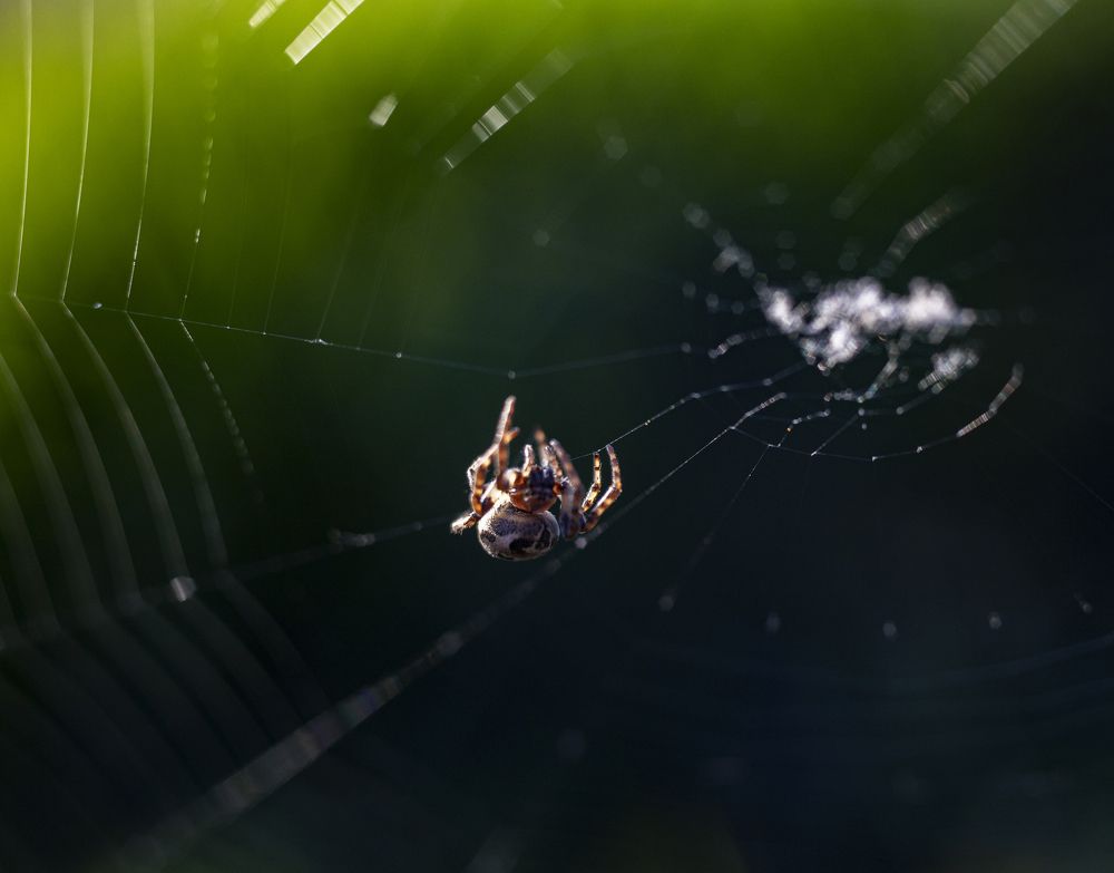 Photograph by Андрей Михайлин