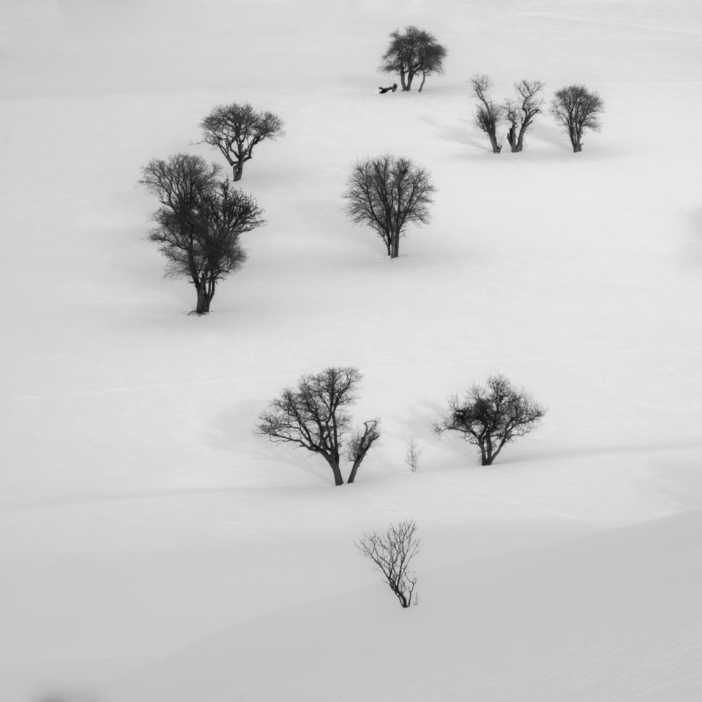 Фотография автора Alipour mohammad