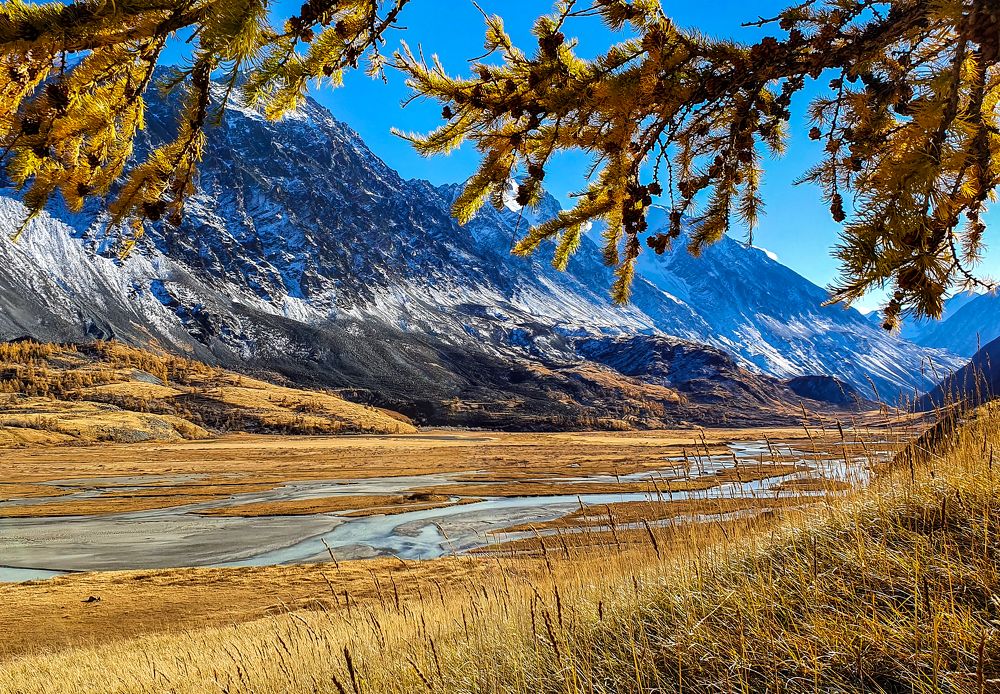 Осень на Алтае