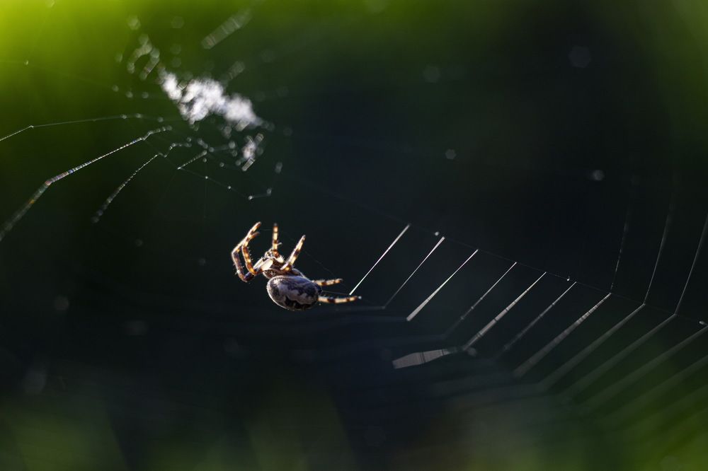 Photograph by Андрей Михайлин