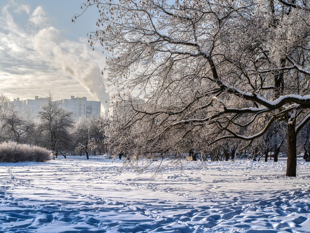 Photograph by Aleksandr Belov