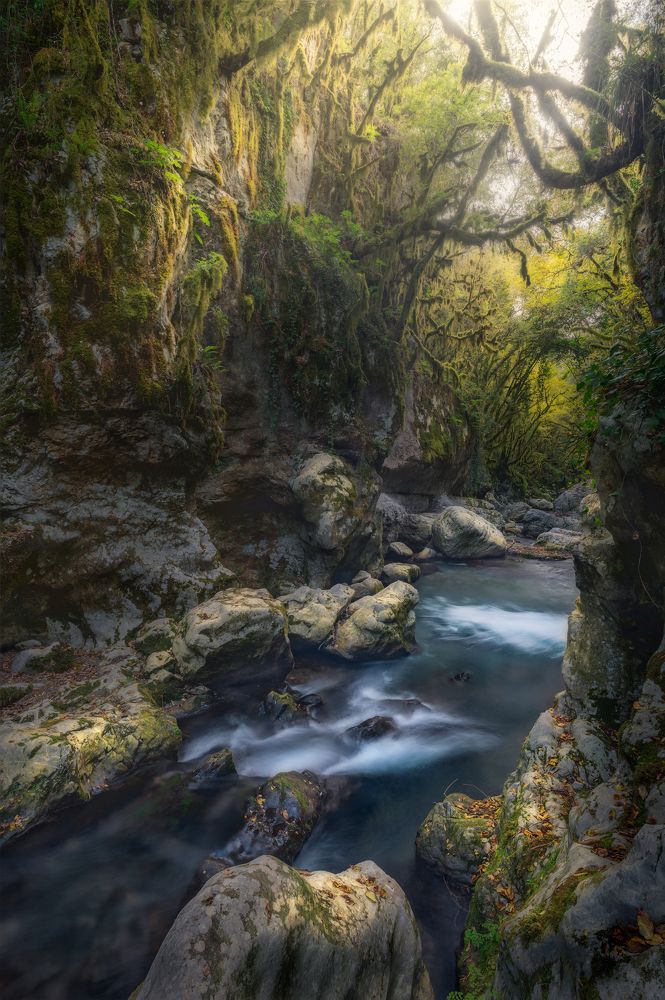 Photograph by Michele Illuzzi