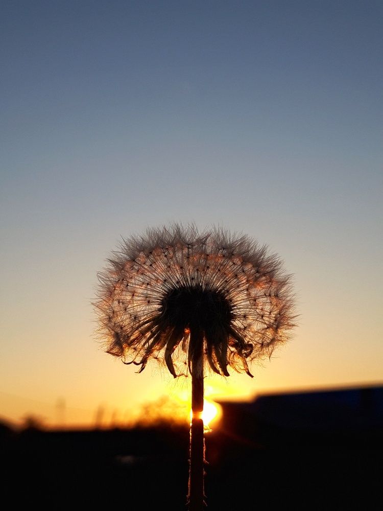 Photo #7191711