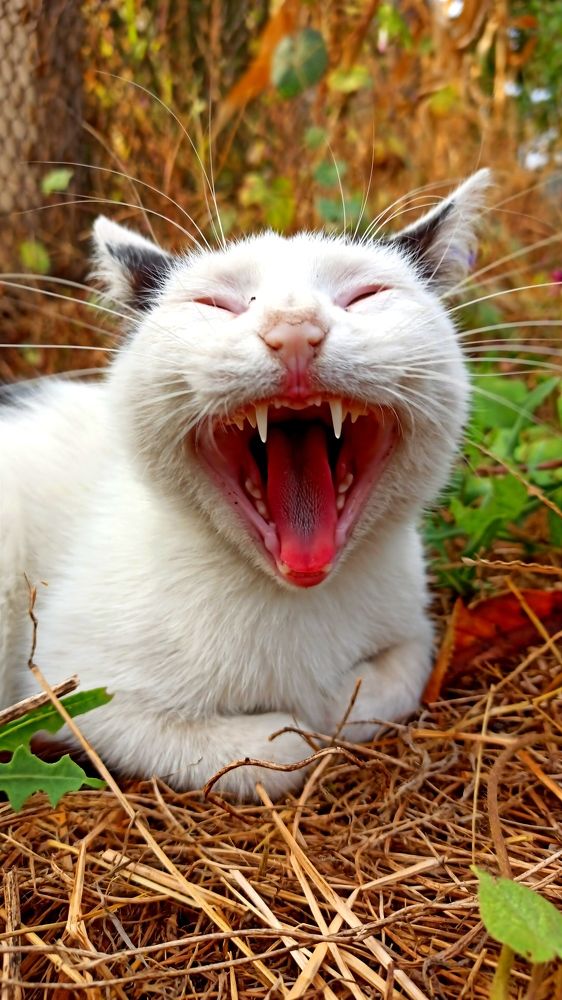 Photograph by Наталия Крайник